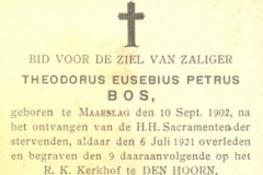 Bos Theodorus Eusebius Petrus