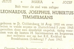 Timmermans Leonardus Josephus Hubertus
