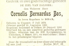Bos Cornelis Bernardus