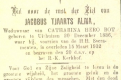 Alma Jacobus Tjaarts