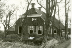 Broek