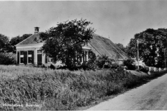 hornhuizen 12 (Large)