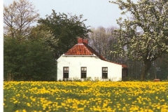 Verhildersum - landarbeidershuisje-a