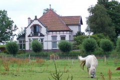 Wierde 33-b