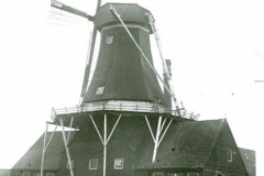 Molenstraat 10 1950