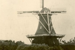 1925