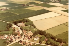 Niekerk 1978 (Large)