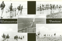 Wadlopen 1970