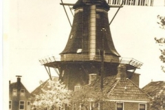 Molenweg - molen 1950