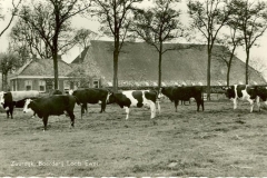zuurdijk 10 (Large)